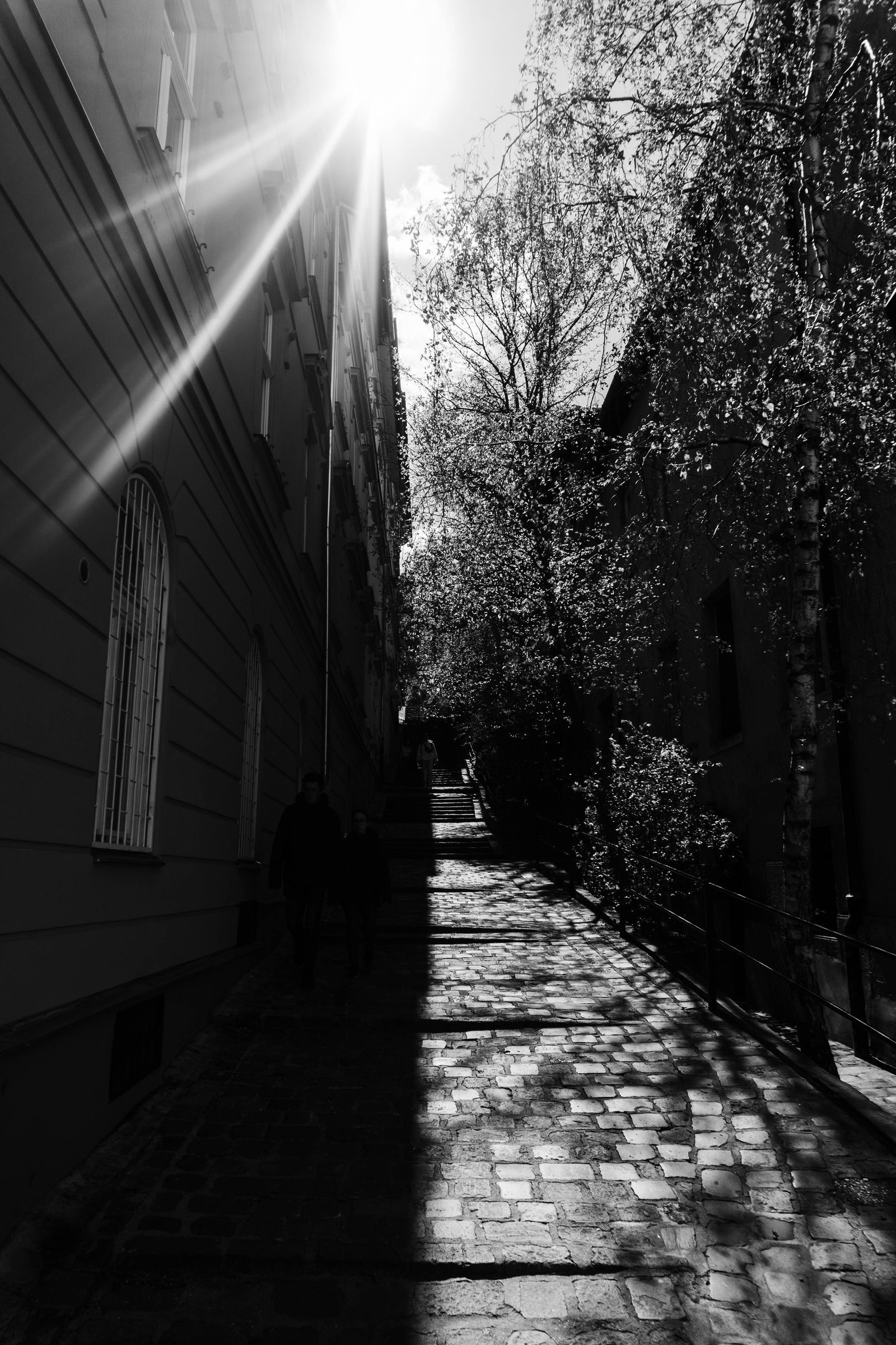 A european alleyway half-lit by the sun.